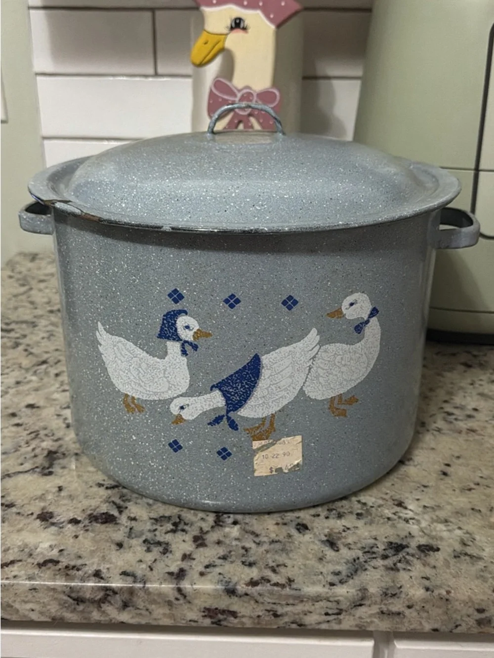 Blue Speckled Goose Enamel Stockpot with Lid - Blue